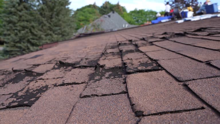 Best Gutter Replacement  in Fresno, TX