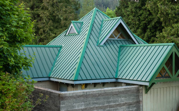 Best Roof Moss and Algae Removal  in Fresno, TX