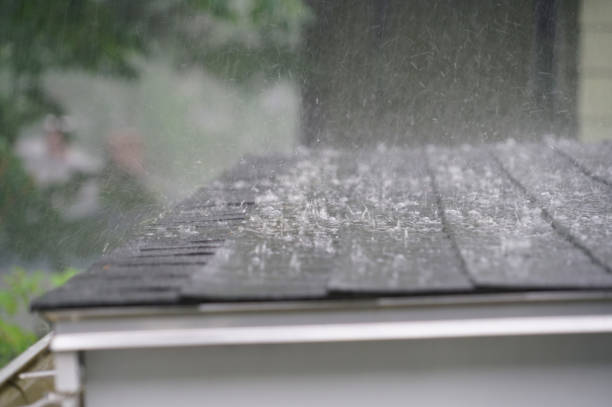 Best Green or Eco-Friendly Roofing Solutions  in Fresno, TX
