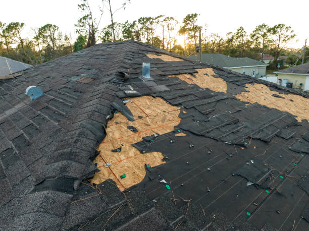 Best Gutter Installation and Repair  in Fresno, TX