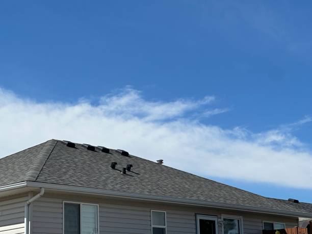 Best Chimney Flashing Repair  in Fresno, TX